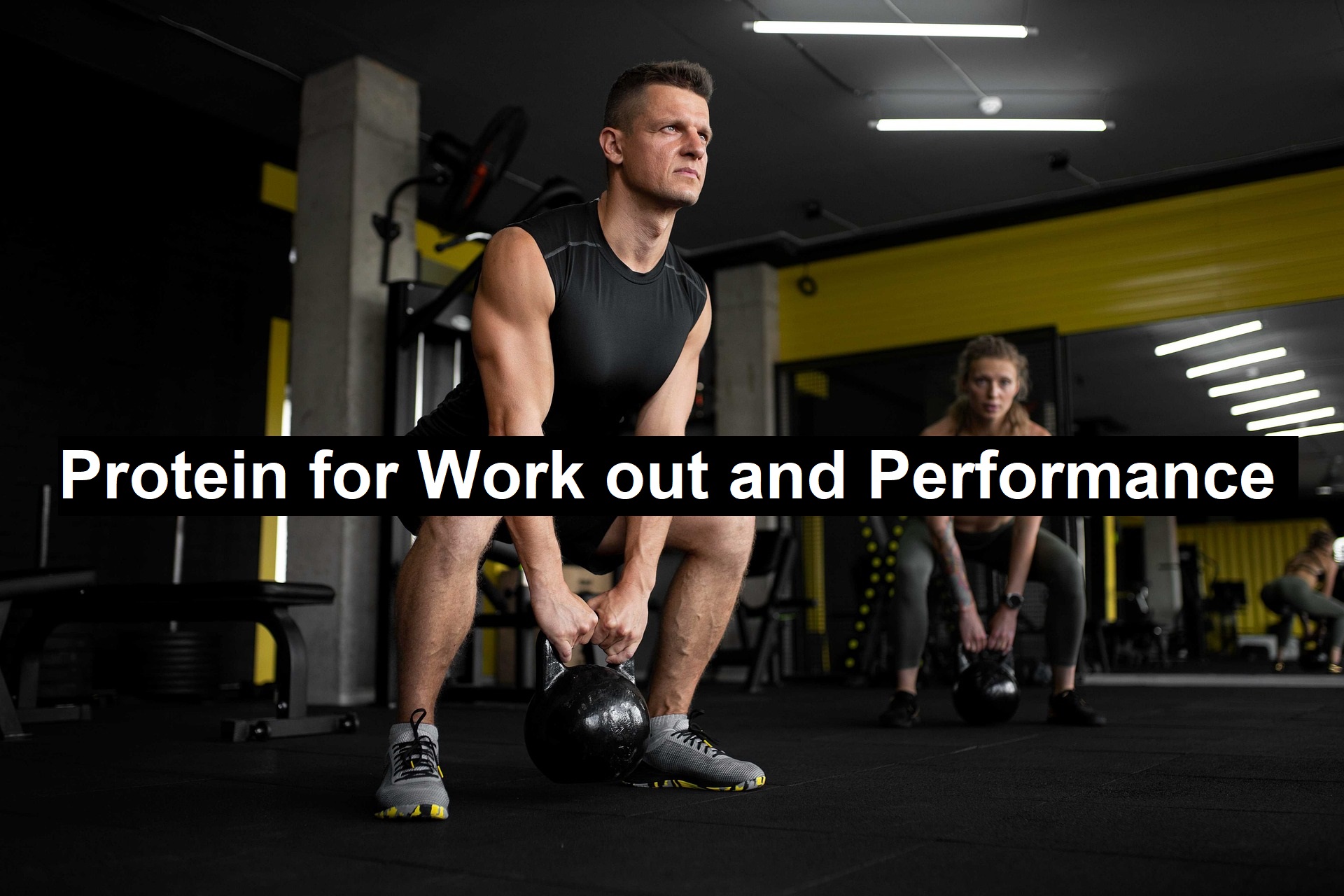 Protein for Work Out and Performance