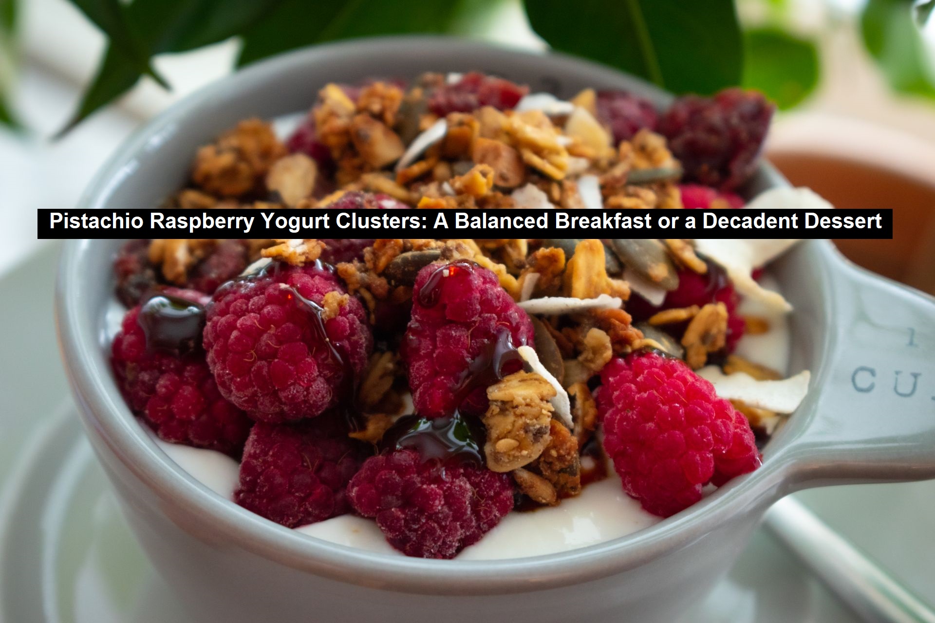 Pistachio Raspberry Yogurt Clusters: A Balanced Breakfast or a Decadent Dessert